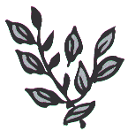 Illustration of basil leaves