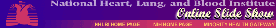Slideshow Banner
