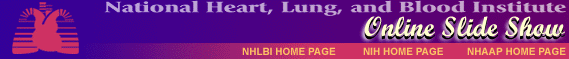 Slideshow Banner