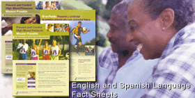 English and Spanish Language Fact Sheets Picture