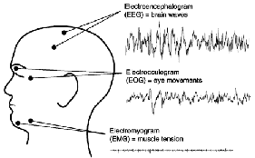 Sleep Info Picture