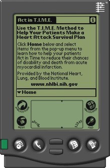 Image of a Palm OS viewing the Act in Time Survival Plan