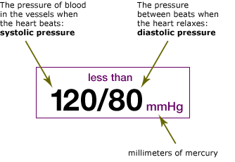 Optimal blood pressure: less than 120/80 mmHg (millimeters of mercury). The pressure of blood in the vessels when the heart beats: systolic pressure. The pressure between beats when the heart relaxes: diastolic pressure.