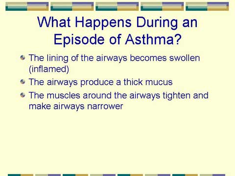slide 6