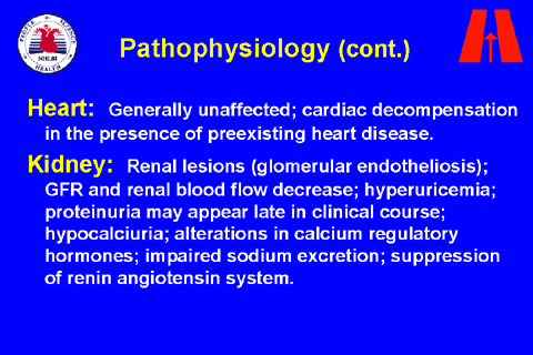 slide 16