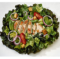 image of a large chicken salad