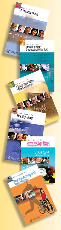 Image of the Your Guide Book Covers